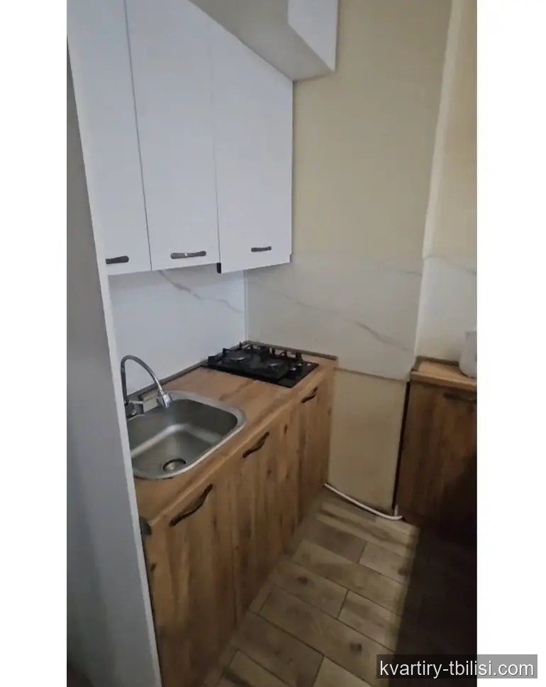 2-bedroom Apartment for rent in Mukhiani, Tbilisi, 45 sqm, floor 10/17 — 550 USD/month | Tbilisi Homes