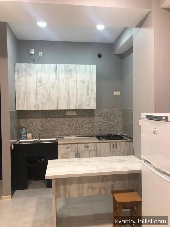 2-bedroom Apartment for rent in Mukhiani, Tbilisi, 46 sqm, floor 7/16 — 533 USD/month | Tbilisi Homes