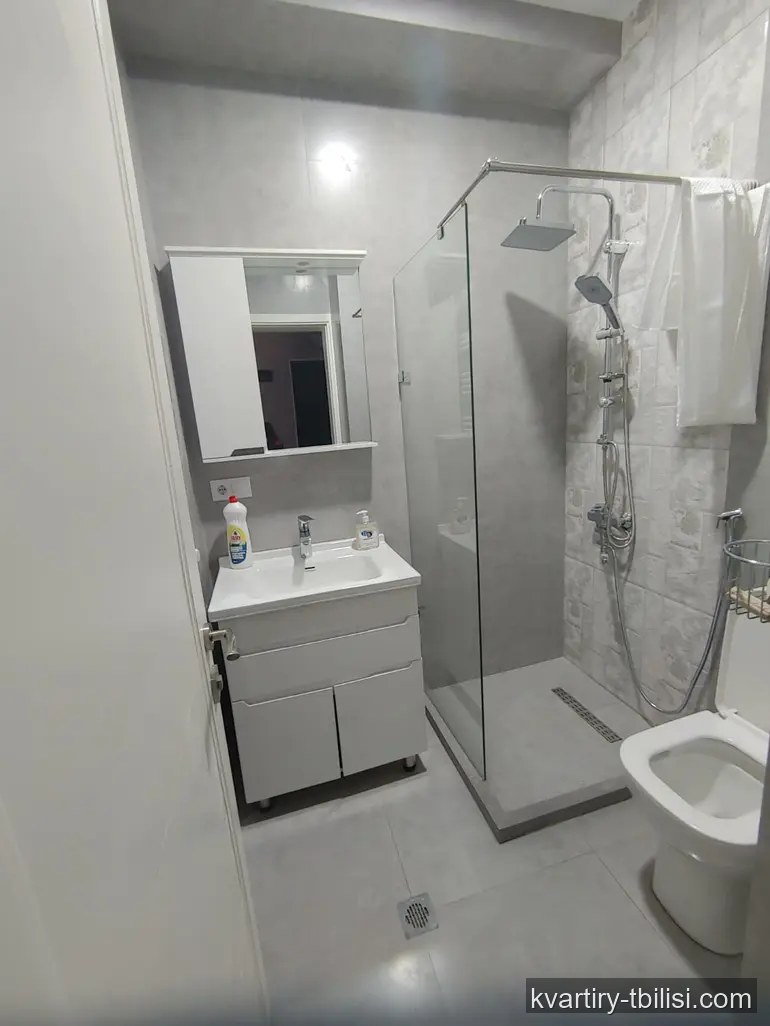 Трёхкомнатная квартира в Мухиани — 580 USD/мес | Tbilisi Homes