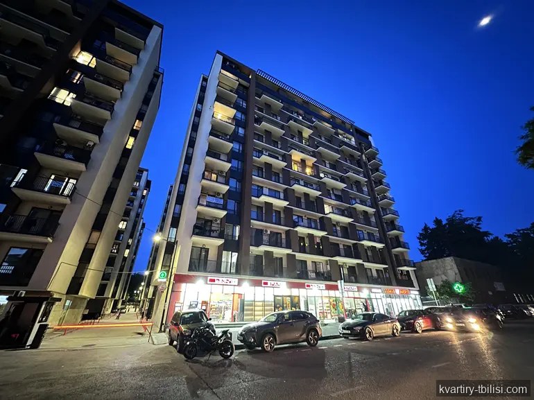 2-bedroom Apartment for rent in Nadzaladevi, Tbilisi, 55 sqm, floor 9/12 — 495 USD/month | Tbilisi Homes