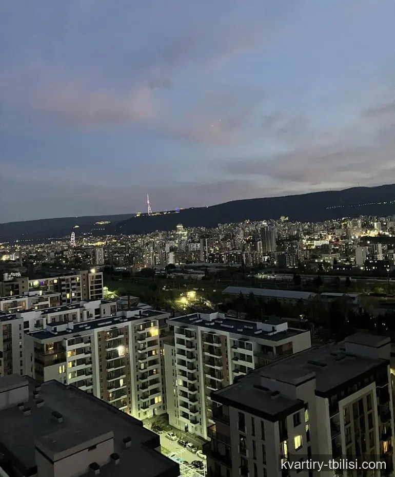 Двухкомнатная квартира в Надзаладеви — 600 USD/мес | Tbilisi Homes
