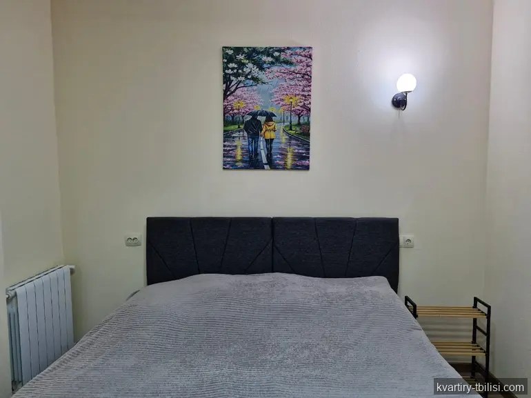 Двухкомнатная квартира в Ортачале — 550 USD/мес | Tbilisi Homes