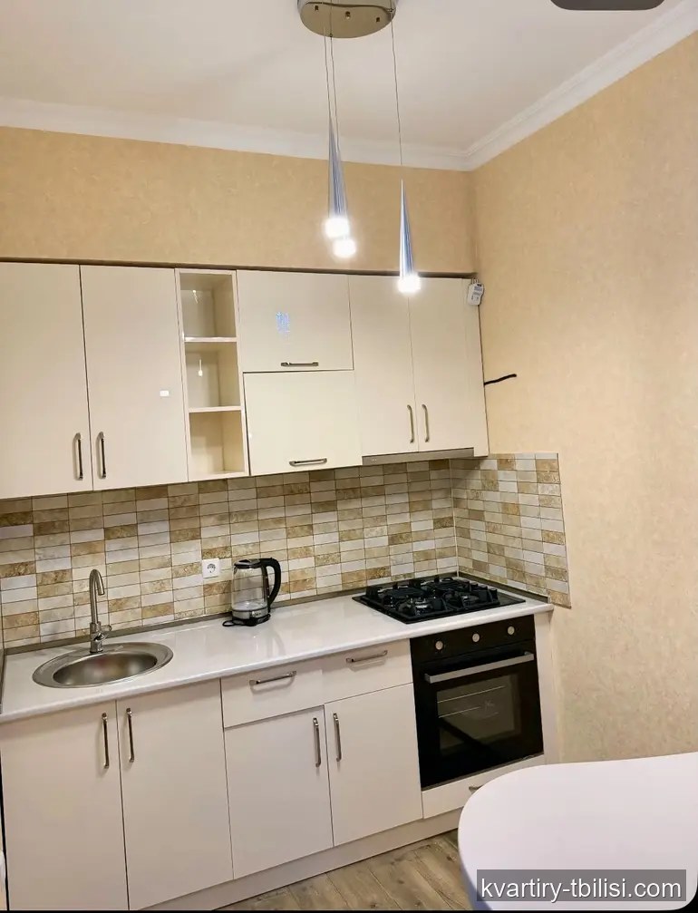 2-bedroom Apartment for rent in Ortachala, Tbilisi, 57 sqm, floor 10/13 — 550 USD/month | Tbilisi Homes