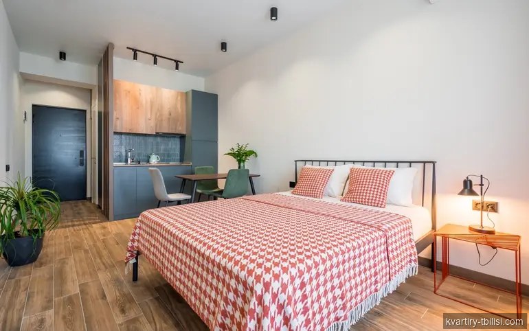 Однокомнатная квартира на Сабуртало — 495 USD/мес | Tbilisi Homes