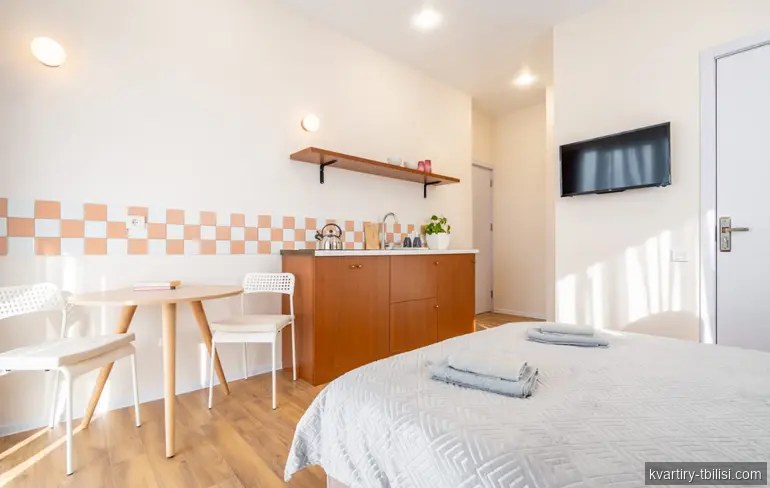 Однокомнатная квартира на Сабуртало — 550 USD/мес | Tbilisi Homes