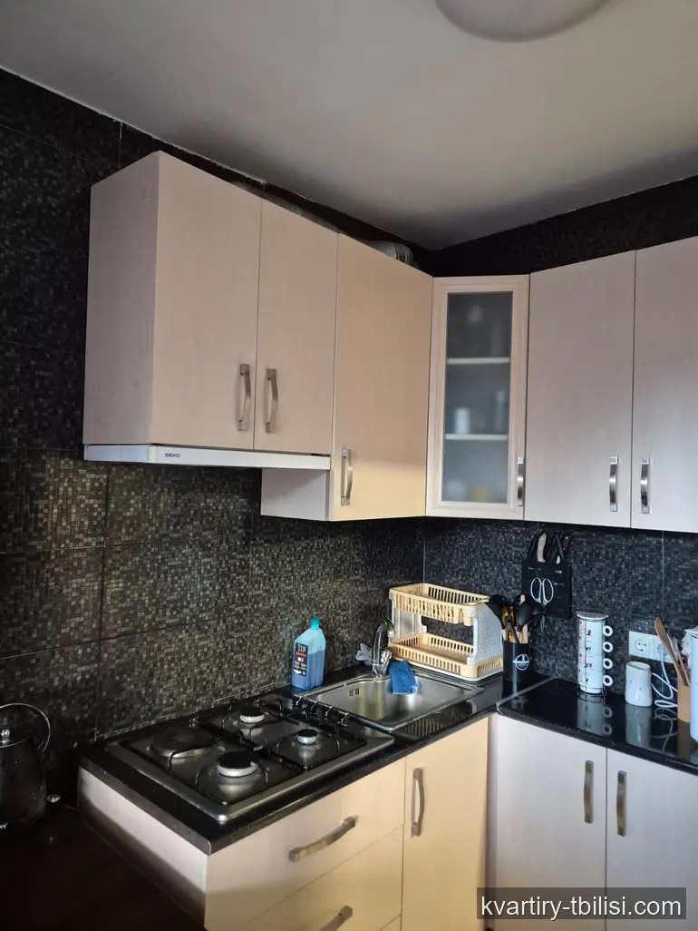 1-bedroom Apartment for rent in Saburtalo, Tbilisi, 54 sqm, floor 6/6 — 450 USD/month | Tbilisi Homes