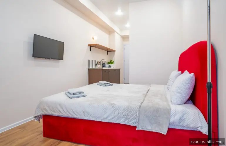 Однокомнатная квартира на Сабуртало — 470 USD/мес | Tbilisi Homes