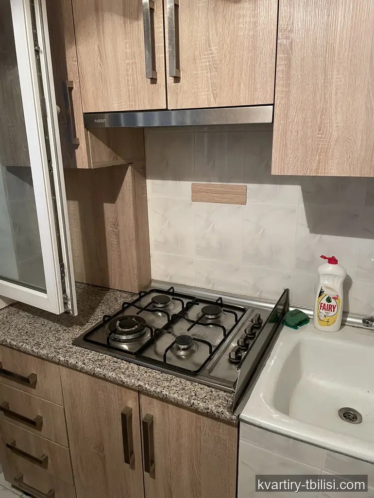 Однокомнатная квартира на Сабуртало — 500 USD/мес | Tbilisi Homes