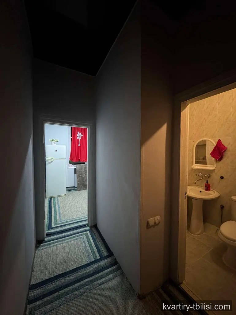 Однокомнатная квартира на Сабуртало — 400 USD/мес | Tbilisi Homes