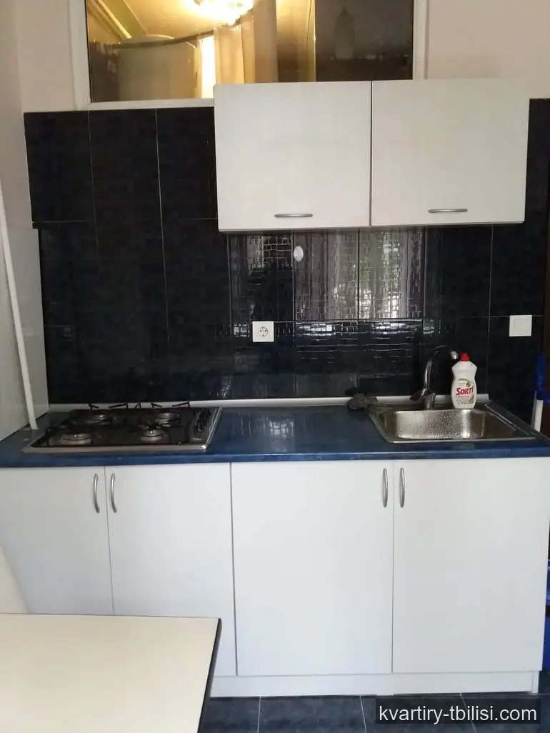 Однокомнатная квартира на Сабуртало — 457 USD/мес | Tbilisi Homes