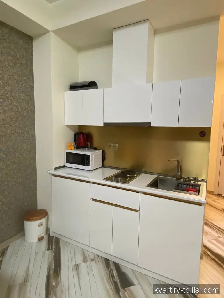 Однокомнатная квартира на Сабуртало — 480 USD/мес | Tbilisi Homes