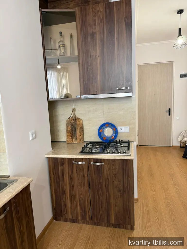 2-bedroom Apartment for rent in Saburtalo, Tbilisi, 45 sqm, floor 2/13 — 590 USD/month | Tbilisi Homes