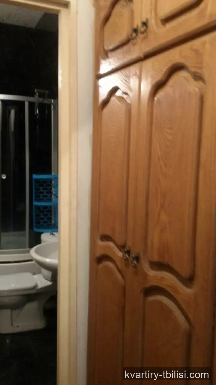2-bedroom Apartment for rent in Saburtalo, Tbilisi, 55 sqm, floor 2/4 — 455 USD/month | Tbilisi Homes
