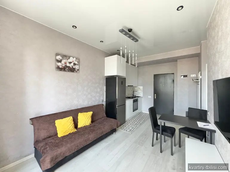 2-bedroom Apartment for rent in Saburtalo, Tbilisi, 44.3 sqm, floor 7/10 — 500 USD/month | Tbilisi Homes