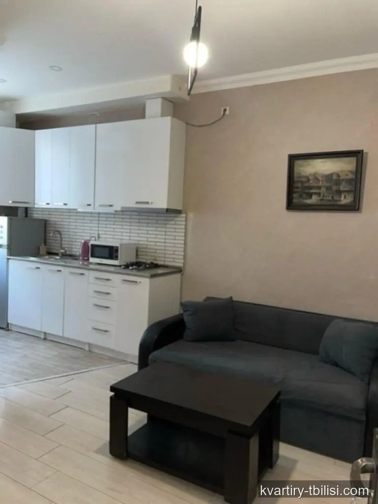 2-bedroom Apartment for rent in Saburtalo, Tbilisi, 28 sqm, floor 5/7 — 454 USD/month | Tbilisi Homes