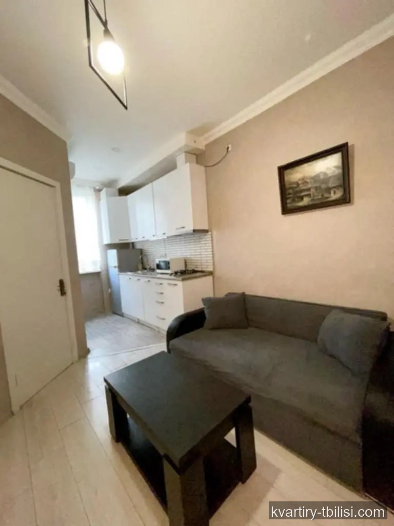 2-bedroom Apartment for rent in Saburtalo, Tbilisi, 28 sqm, floor 5/7 — 454 USD/month | Tbilisi Homes