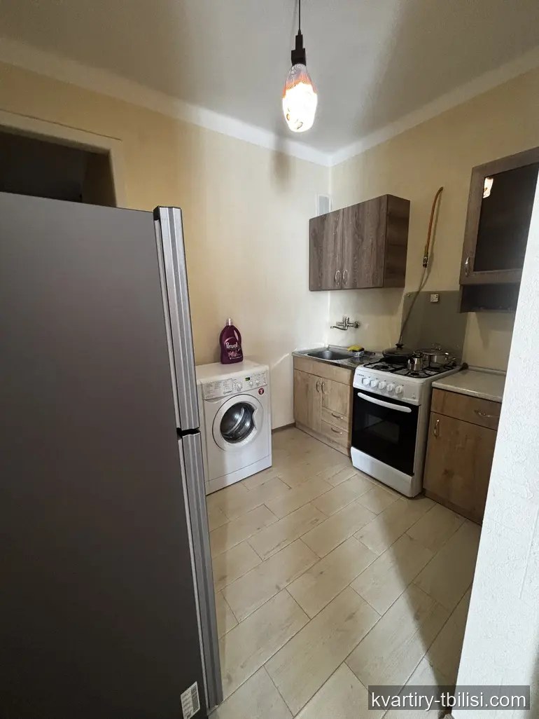 2-bedroom Apartment for rent in Saburtalo, Tbilisi, 56 sqm, floor 4/9 — 495 USD/month | Tbilisi Homes