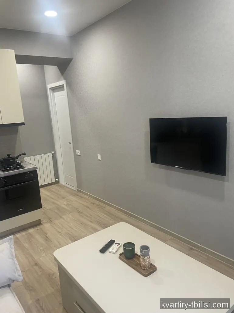 2-bedroom Apartment for rent in Saburtalo, Tbilisi, 38 sqm, floor 5/15 — 600 USD/month | Tbilisi Homes