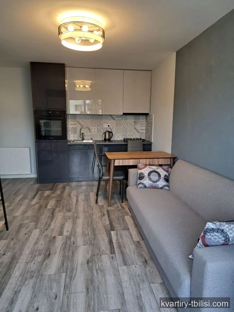 2-bedroom Apartment for rent in Saburtalo, Tbilisi, 40 sqm, floor 7/8 — 400 USD/month | Tbilisi Homes