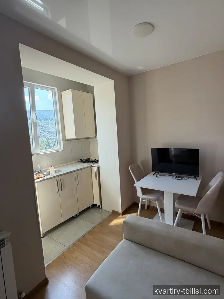 2-bedroom Apartment for rent in Saburtalo, Tbilisi, 45 sqm, floor 8/8 — 700 USD/month | Tbilisi Homes