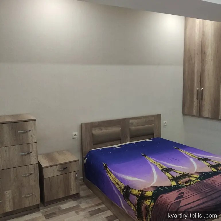 2-bedroom Apartment for rent in Saburtalo, Tbilisi, 52 sqm, floor 1/5 — 491 USD/month | Tbilisi Homes