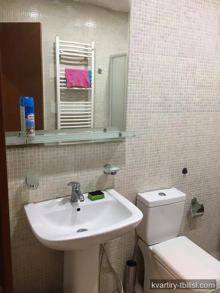 2-bedroom Apartment for rent in Saburtalo, Tbilisi, 62 sqm, floor 5/22 — 700 USD/month | Tbilisi Homes