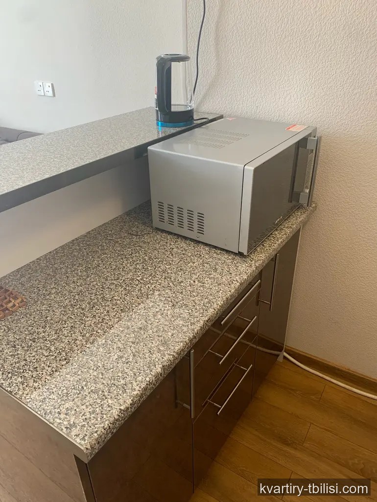 2-bedroom Apartment for rent in Saburtalo, Tbilisi, 47 sqm, floor 9/17 — 550 USD/month | Tbilisi Homes