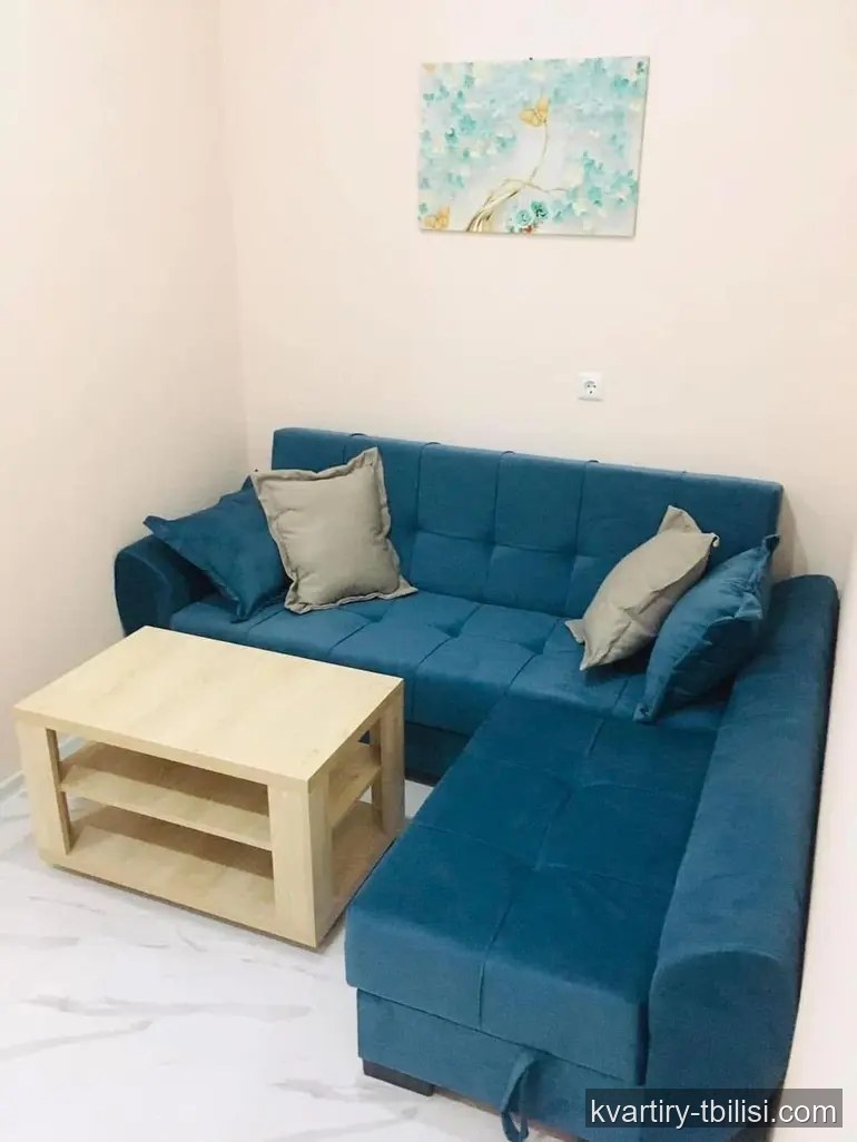 Трёхкомнатная квартира на Сабуртало — 700 USD/мес | Tbilisi Homes