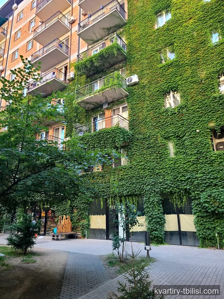 Трёхкомнатная квартира на Сабуртало — 900 USD/мес | Tbilisi Homes