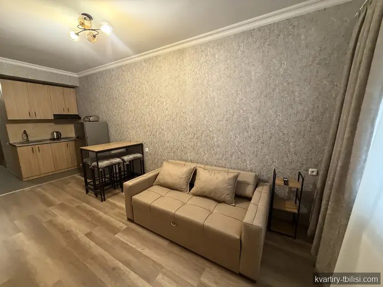 Однокомнатная квартира в Самгори — 458 USD/мес | Tbilisi Homes