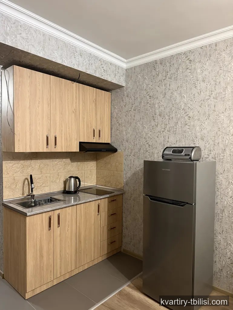 Однокомнатная квартира в Самгори — 458 USD/мес | Tbilisi Homes