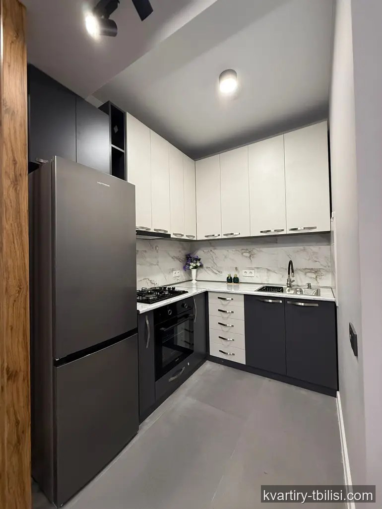 Однокомнатная квартира в Самгори — 458 USD/мес | Tbilisi Homes