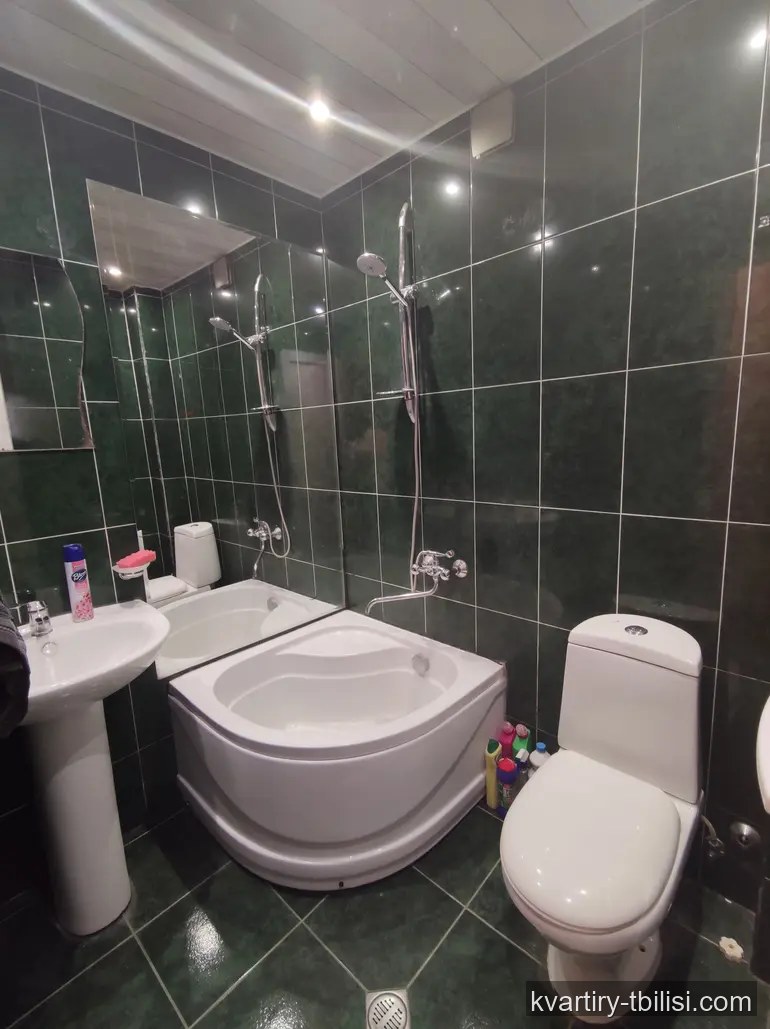 Трёхкомнатная квартира в Самгори — 421 USD/мес | Tbilisi Homes