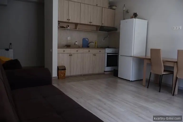 2-bedroom Apartment for rent in Sanzona, Tbilisi, 56 sqm, floor 4/14 — 500 USD/month | Tbilisi Homes