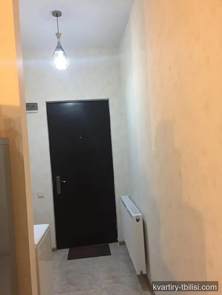 2-bedroom Apartment for rent in Sanzona, Tbilisi, 35 sqm, floor 10/16 — 419 USD/month | Tbilisi Homes