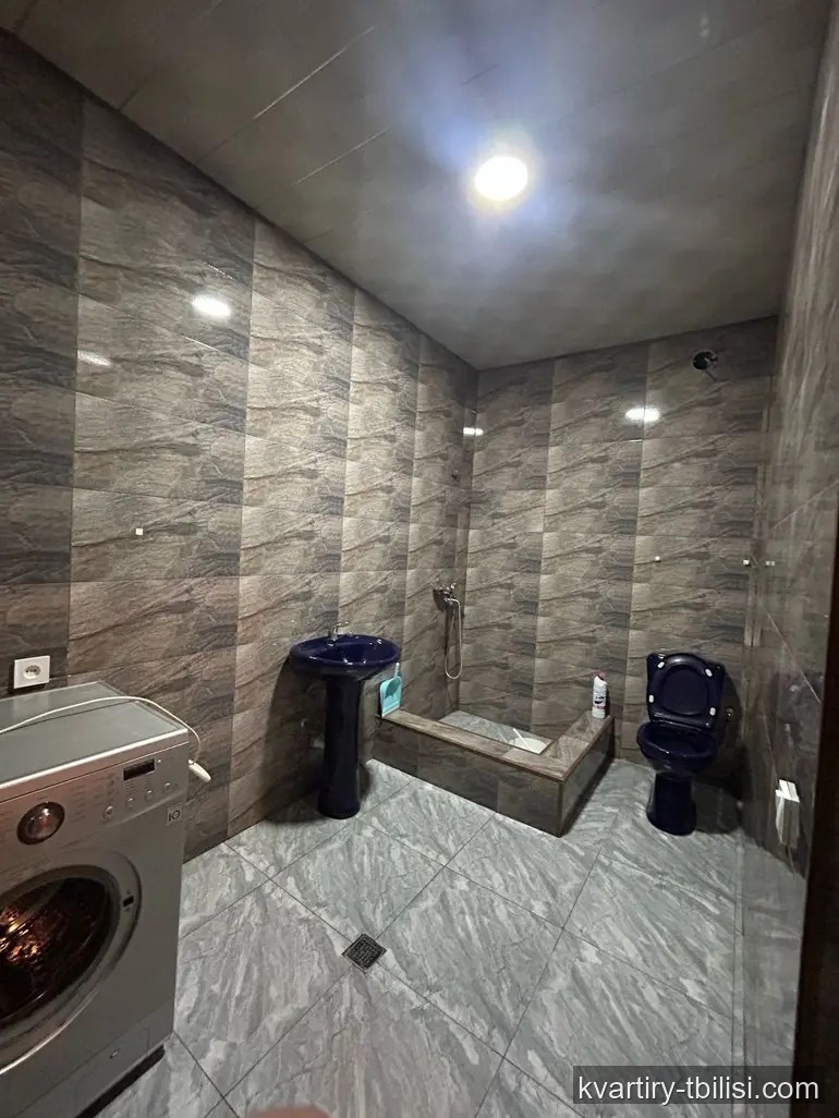 Трёхкомнатная квартира в Санзоне — 459 USD/мес | Tbilisi Homes