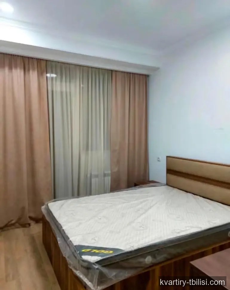 2-bedroom Apartment for rent in Tbilisi, Tbilisi, 60 sqm, floor 2/9 — 430 USD/month | Tbilisi Homes