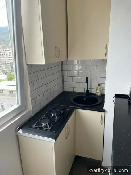 Двухкомнатная квартира в Тбилиси — 499 USD/мес | Tbilisi Homes