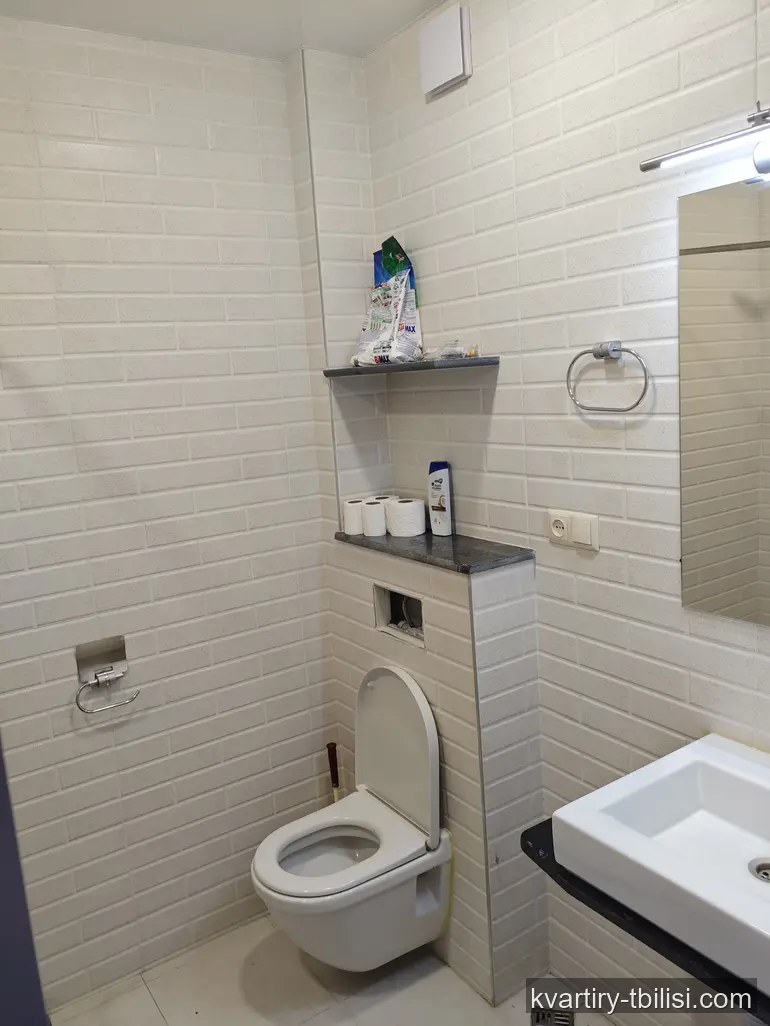Двухкомнатная квартира на Темка — 450 USD/мес | Tbilisi Homes