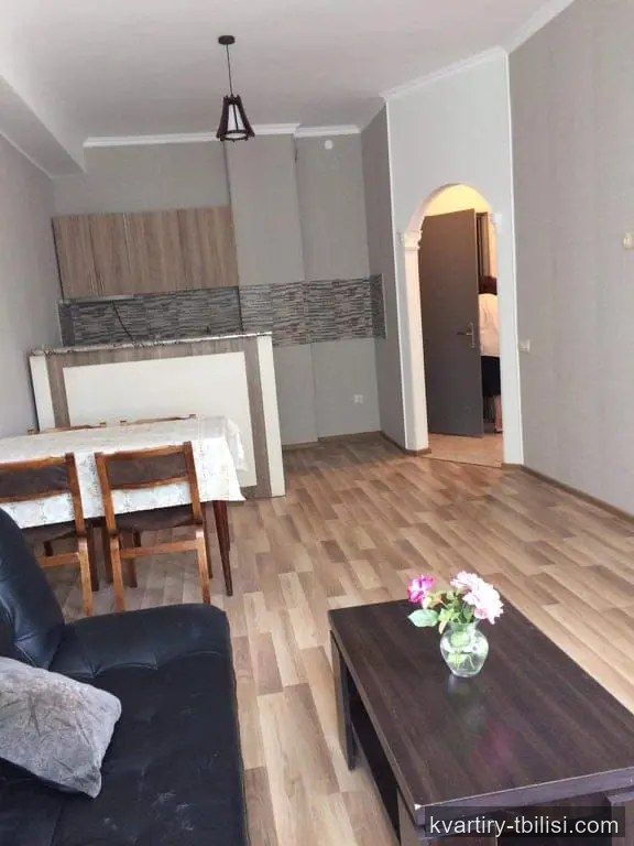 Двухкомнатная квартира на Темка — 400 USD/мес | Tbilisi Homes