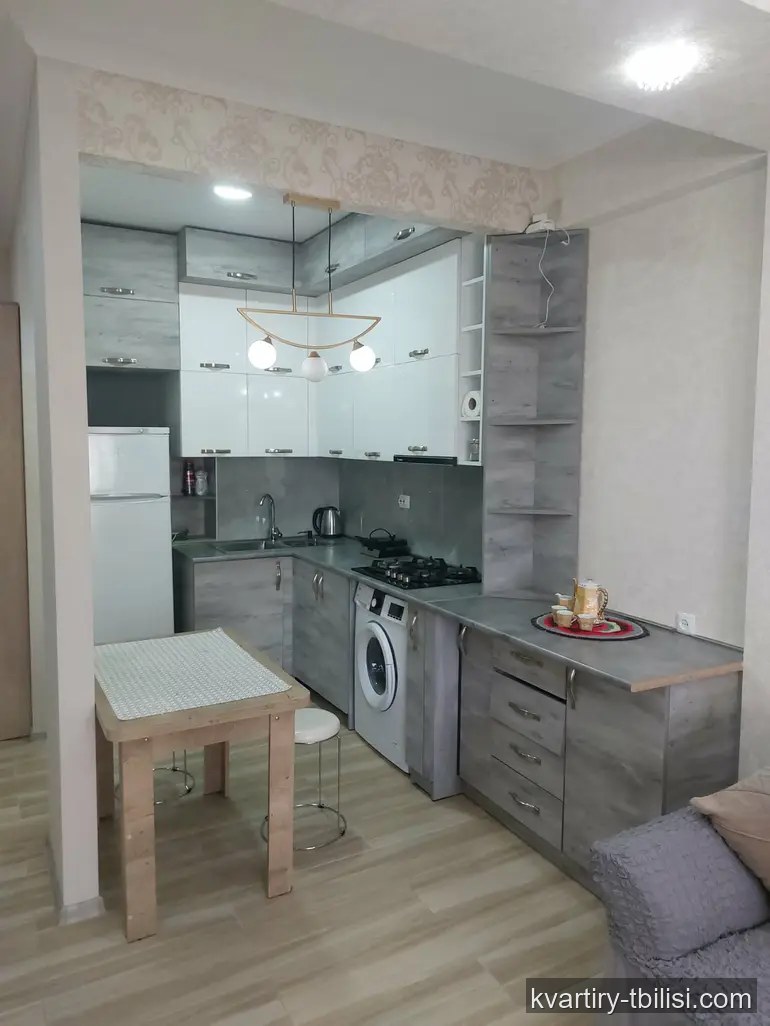 Двухкомнатная квартира на Темка — 450 USD/мес | Tbilisi Homes
