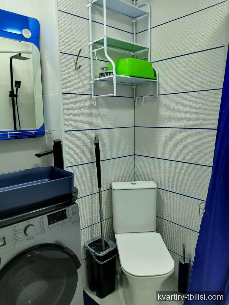 2-bedroom Apartment for rent in Temka, Tbilisi, 55 sqm, floor 2/9 — 550 USD/month | Tbilisi Homes