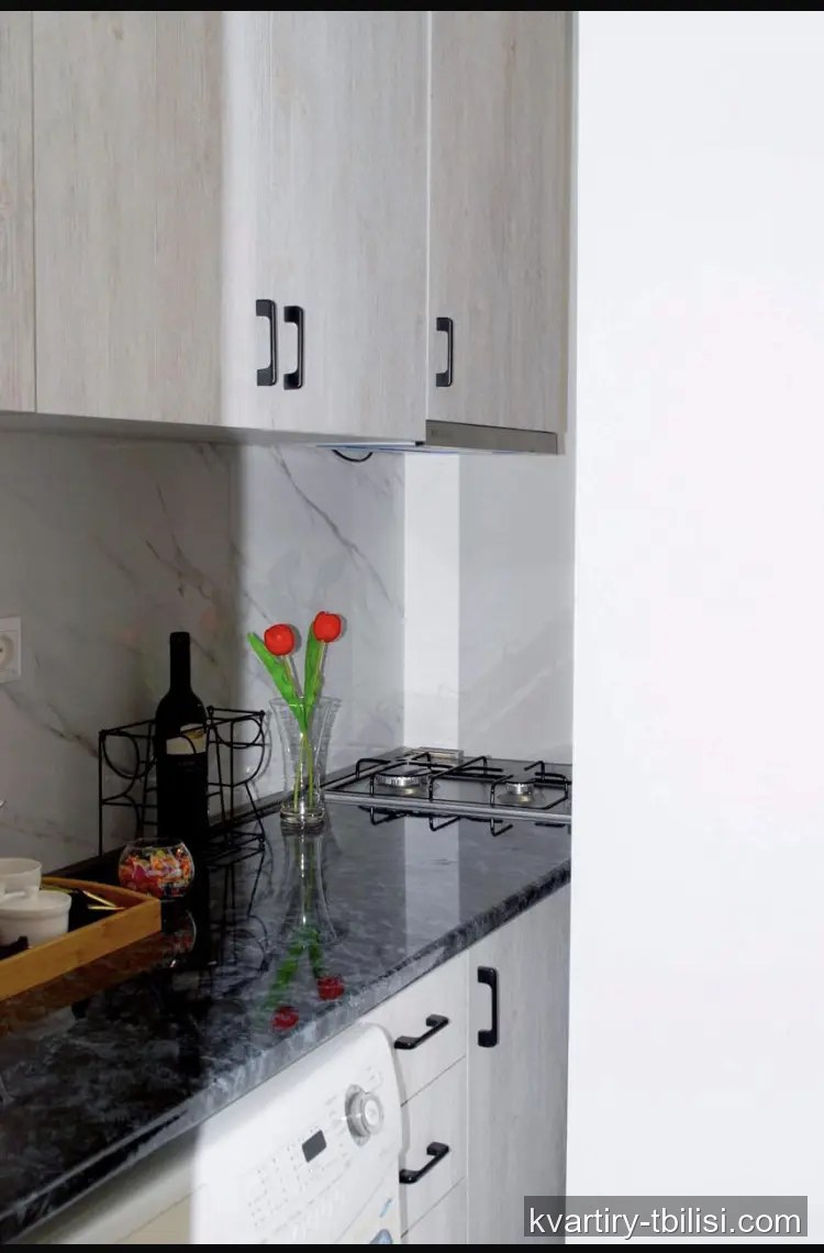 2-bedroom Apartment for rent in Vake, Tbilisi, 50 sqm, floor 17/17 — 500 USD/month | Tbilisi Homes