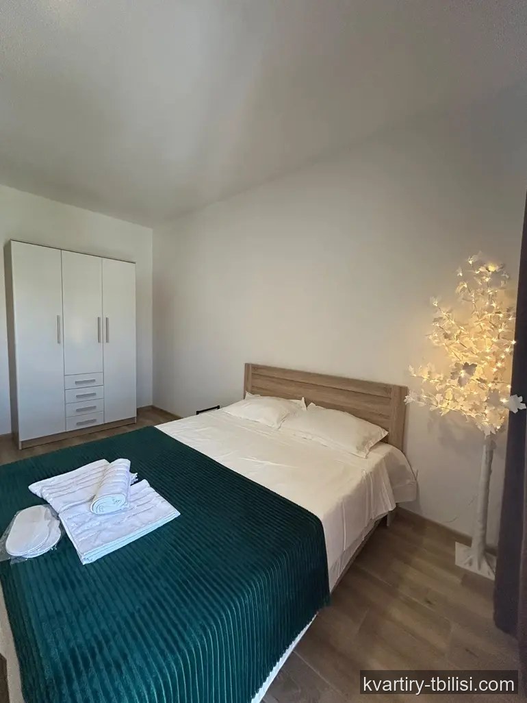 2-bedroom Apartment for rent in Varketili, Tbilisi, 54 sqm, floor 3/9 — 500 USD/month | Tbilisi Homes