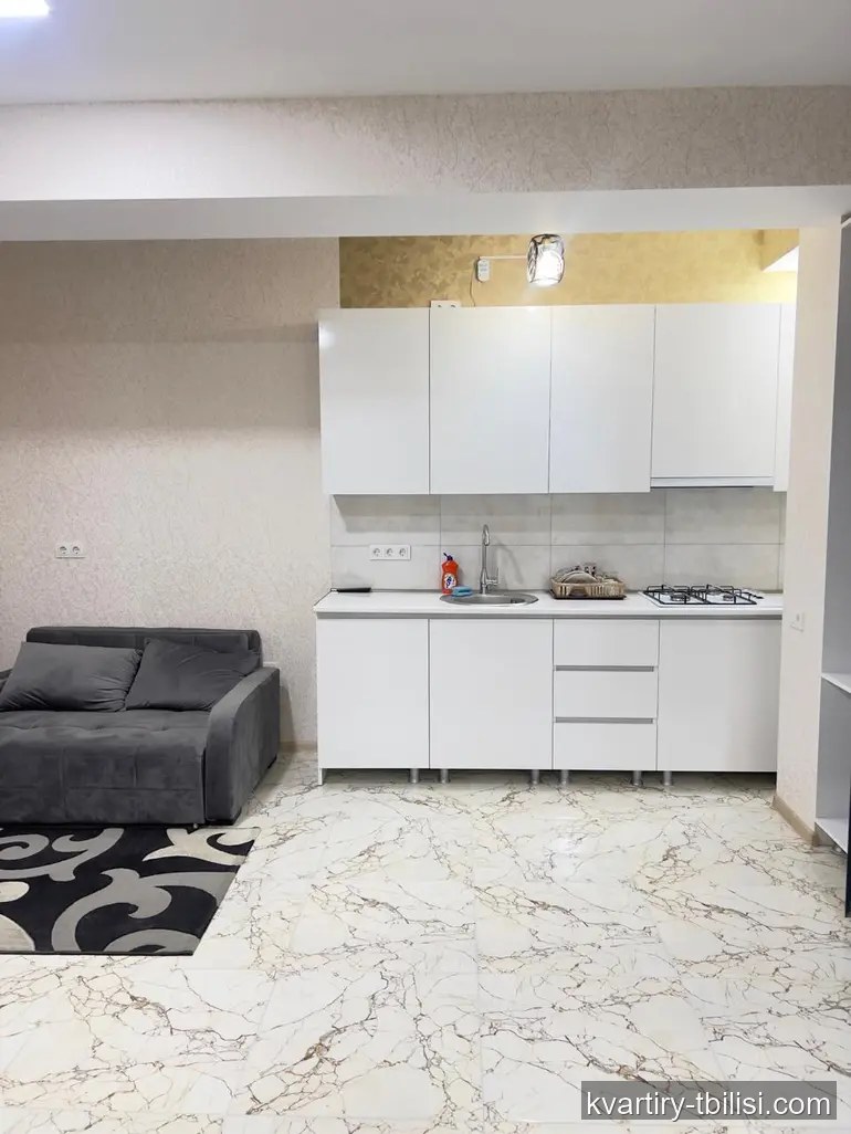 Двухкомнатная квартира в Варкетили — 459 USD/мес | Tbilisi Homes