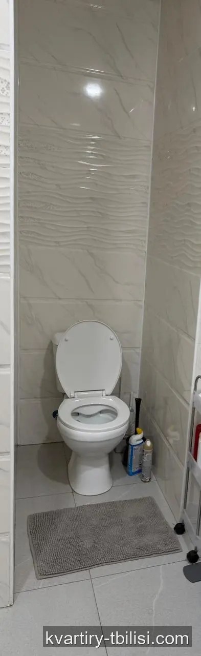 Двухкомнатная квартира в Вашлиджвари — 437 USD/мес | Tbilisi Homes