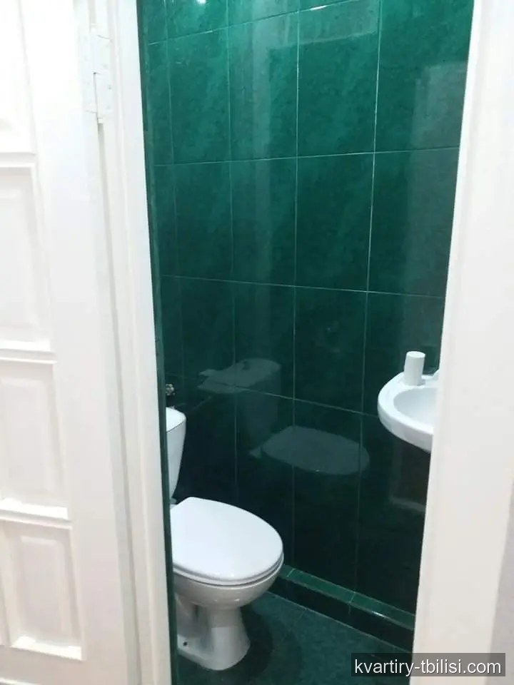 Двухкомнатная квартира в Вазисубани — 450 USD/мес | Tbilisi Homes
