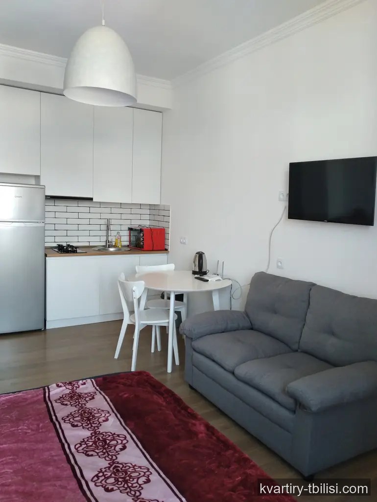 Однокомнатная квартира на Вере — 500 USD/мес | Tbilisi Homes