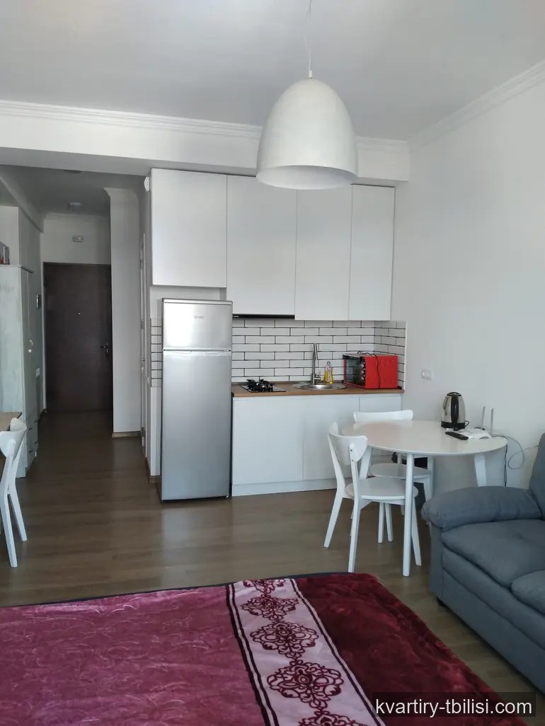 Однокомнатная квартира на Вере — 500 USD/мес | Tbilisi Homes
