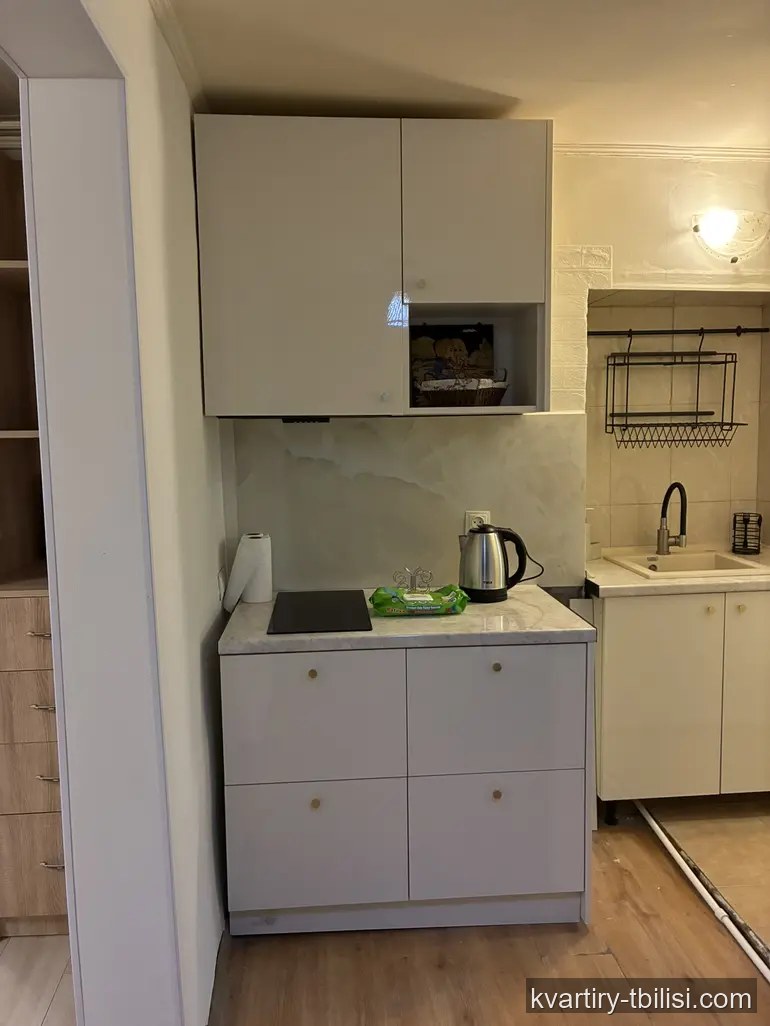 Однокомнатная квартира на Вере — 510 USD/мес | Tbilisi Homes